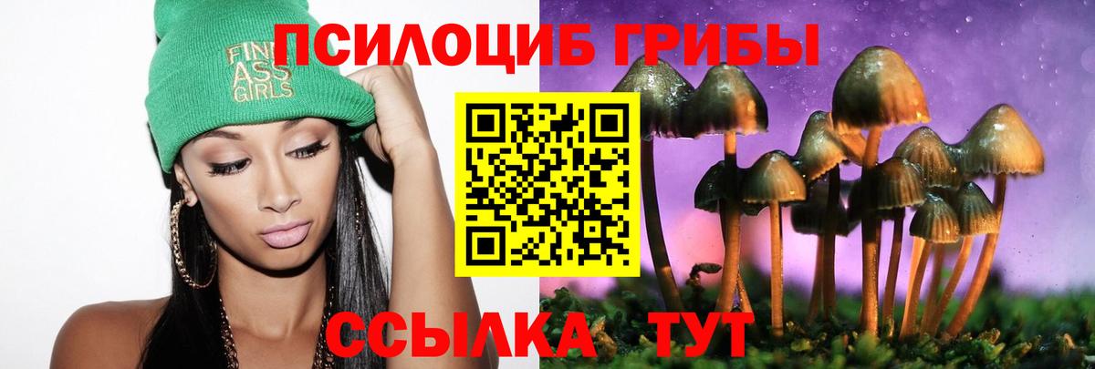Саратов  Псилоцибиновые грибы GOLDEN TEACHER  Вход с VPN  как найти закладки  Псилоцибиновые грибы GOLDEN TEACHER 
